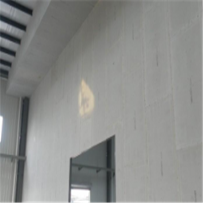 高安宁波ALC板|EPS加气板隔墙与混凝土整浇联接的实验研讨